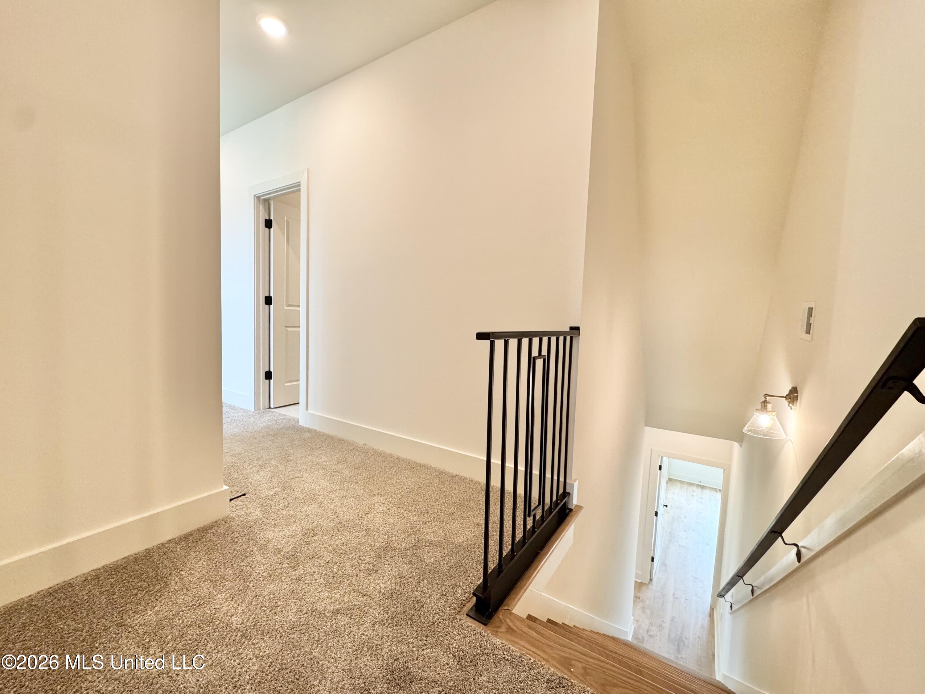 4220 Adriane Cove Nesbit, MS 38651 - Photo 31 of 41 IMG_6599