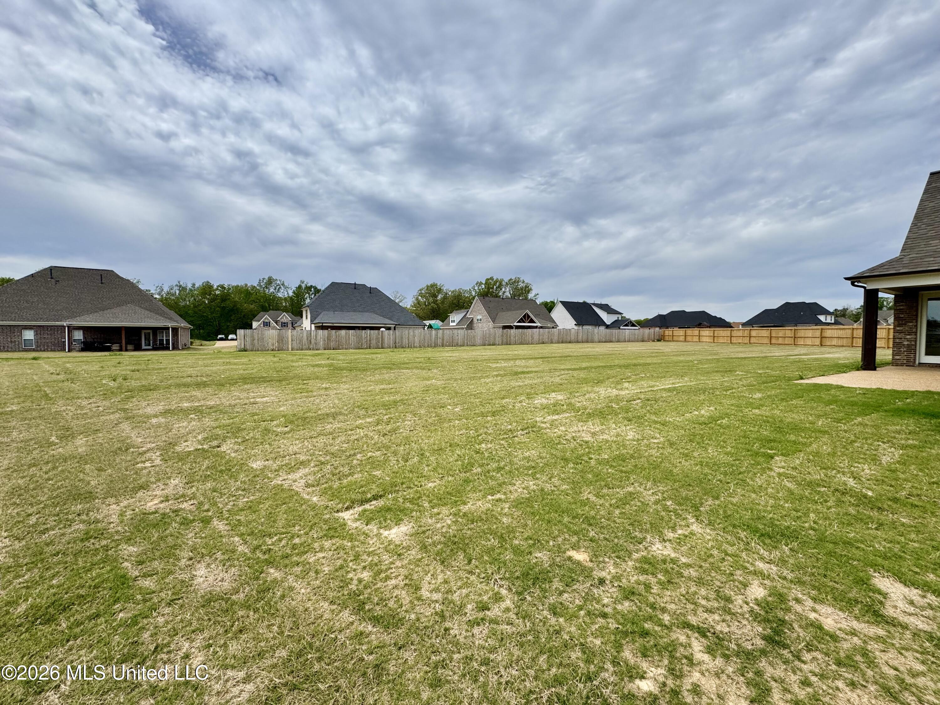 4220 Adriane Cove Nesbit, MS 38651 - Photo 41 of 41 IMG_6552