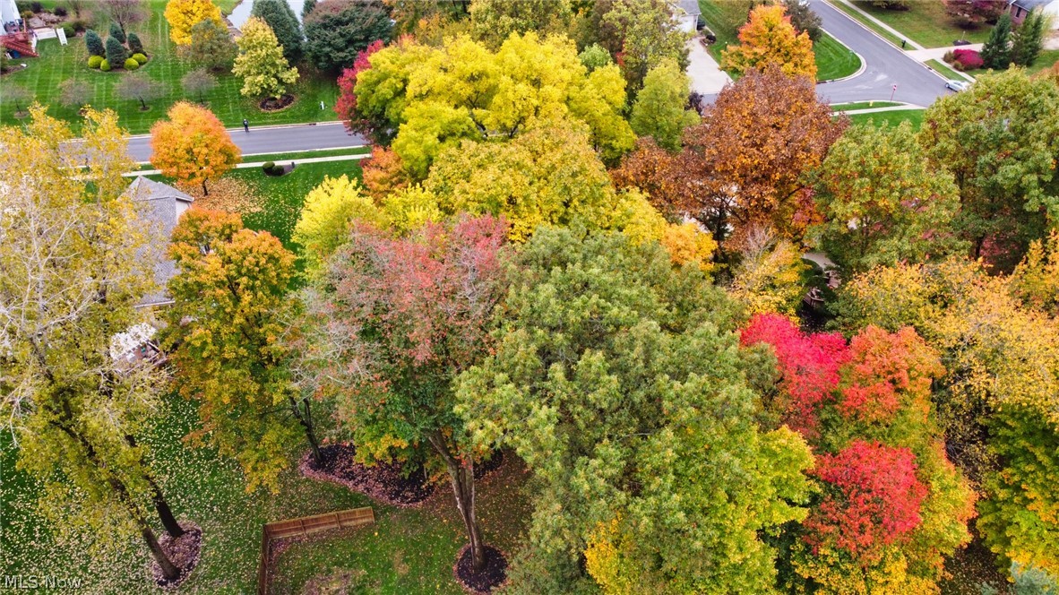 4557 Ridge Crest Drive Akron, OH 44321 - Photo 14 of 15 Gallery Image 14