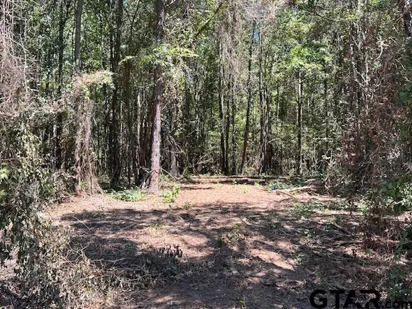 a view of a yard with trees