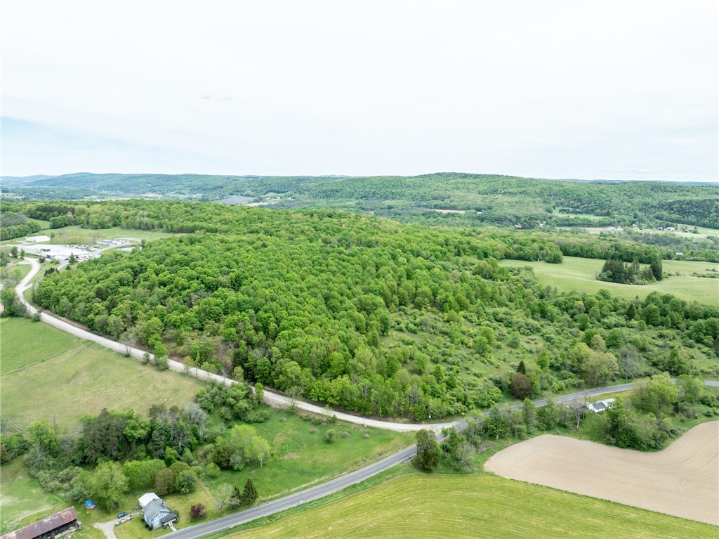 Bell Road New Berlin, NY 13411 - Photo 6 of 11