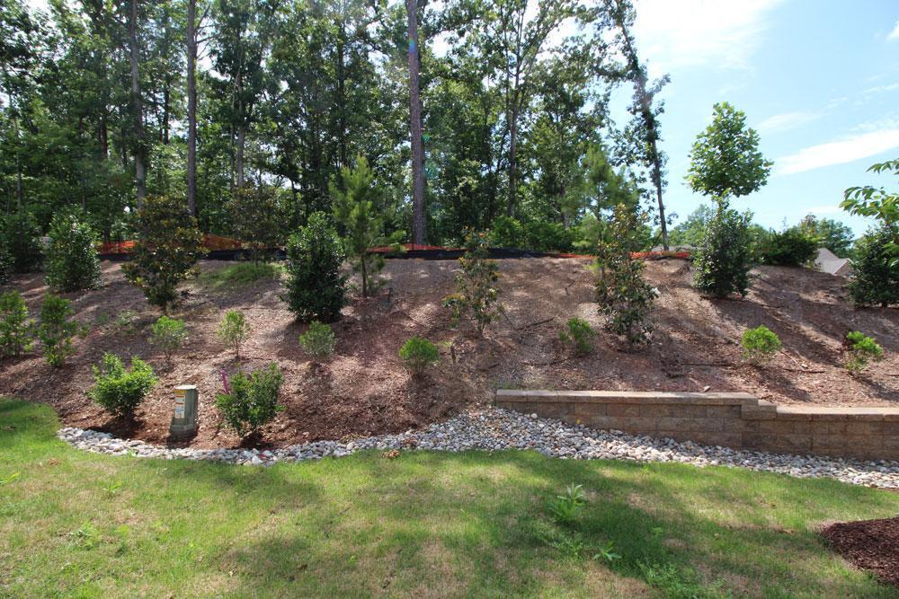462 Talons Rest Way Cary, NC 27513 - Photo 25 of 26