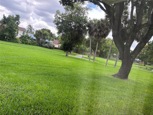 a view of a park with a tree