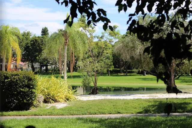 a view of a garden with a tree in a yard