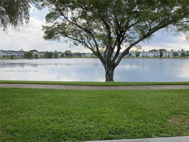 a view of lake with a tree in the background