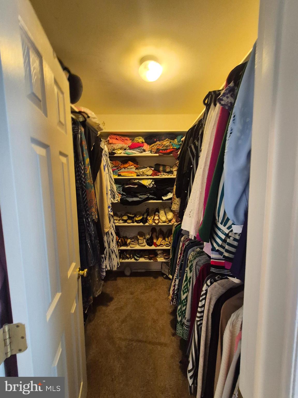 9871 Upper Mill Loop Bristow, VA 20136 - Photo 46 of 84 a view of walk in closet with clothes and shoes