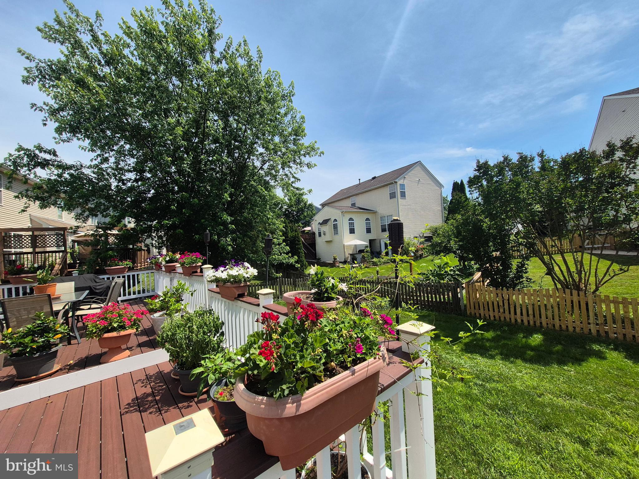 9871 Upper Mill Loop Bristow, VA 20136 - Photo 80 of 84 a front view of a house with a yard and flower plants