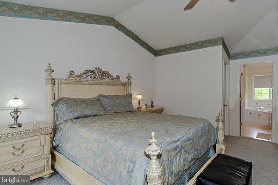 11008 Frederick Road Ellicott City, MD 21042 - Photo 14 of 26 Bath (Master)
