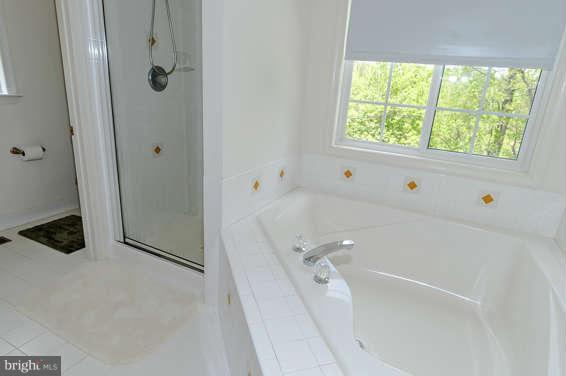 11008 Frederick Road Ellicott City, MD 21042 - Photo 16 of 26 Bath (Master)