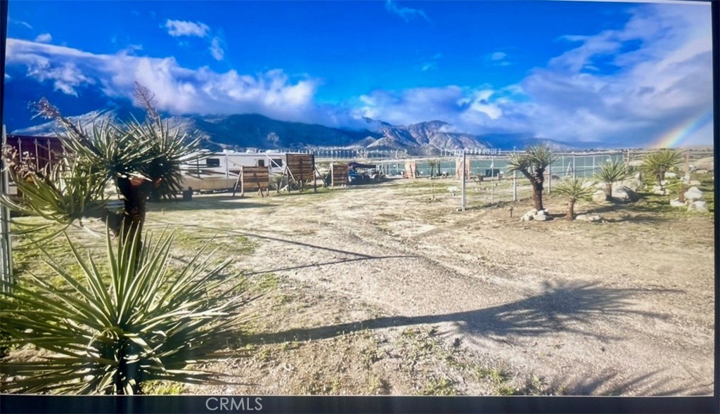 0 Rockview Drive Whitewater, CA 92282 - Photo 12 of 14 a view of a yard with a tree