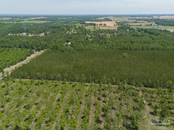 $215,000 | 8 Bud Diamond Road, Jay, FL 32565