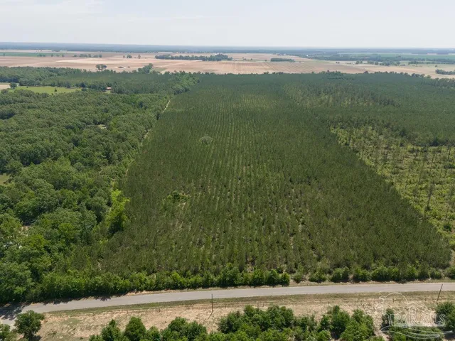 $215,000 | 8 Bud Diamond Road, Jay, FL 32565