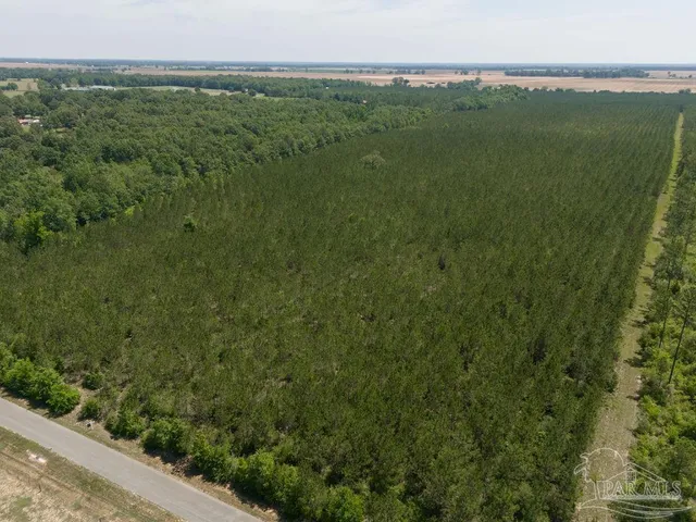 $215,000 | 8 Bud Diamond Road, Jay, FL 32565