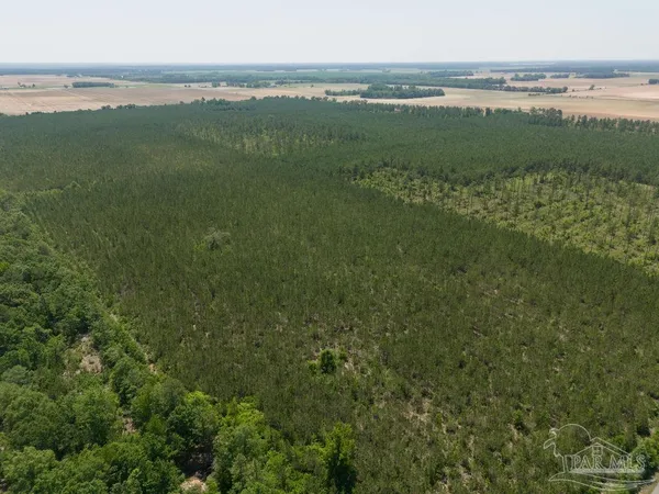 $215,000 | 8 Bud Diamond Road, Jay, FL 32565