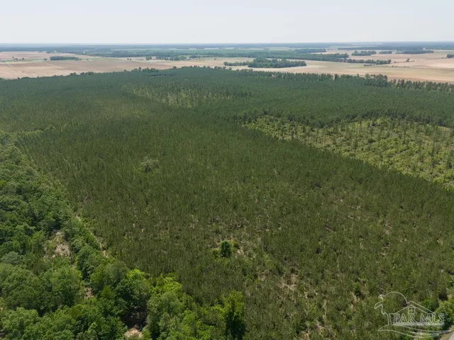 $215,000 | 8 Bud Diamond Road, Jay, FL 32565