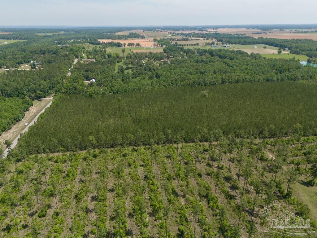 8 Bud Diamond Road Jay, FL 32565 - Photo 17 of 19