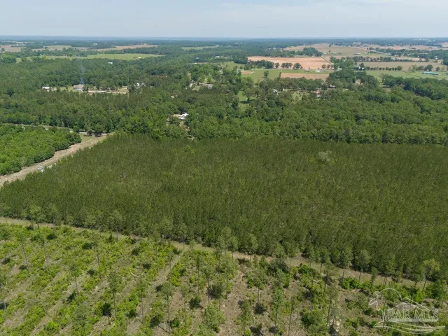 $215,000 | 8 Bud Diamond Road, Jay, FL 32565