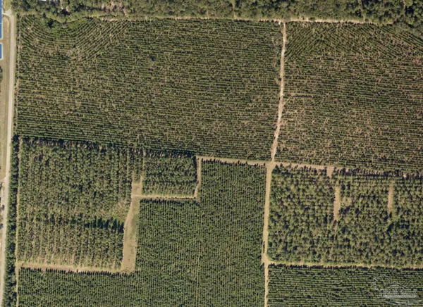 $215,000 | 8 Bud Diamond Road, Jay, FL 32565