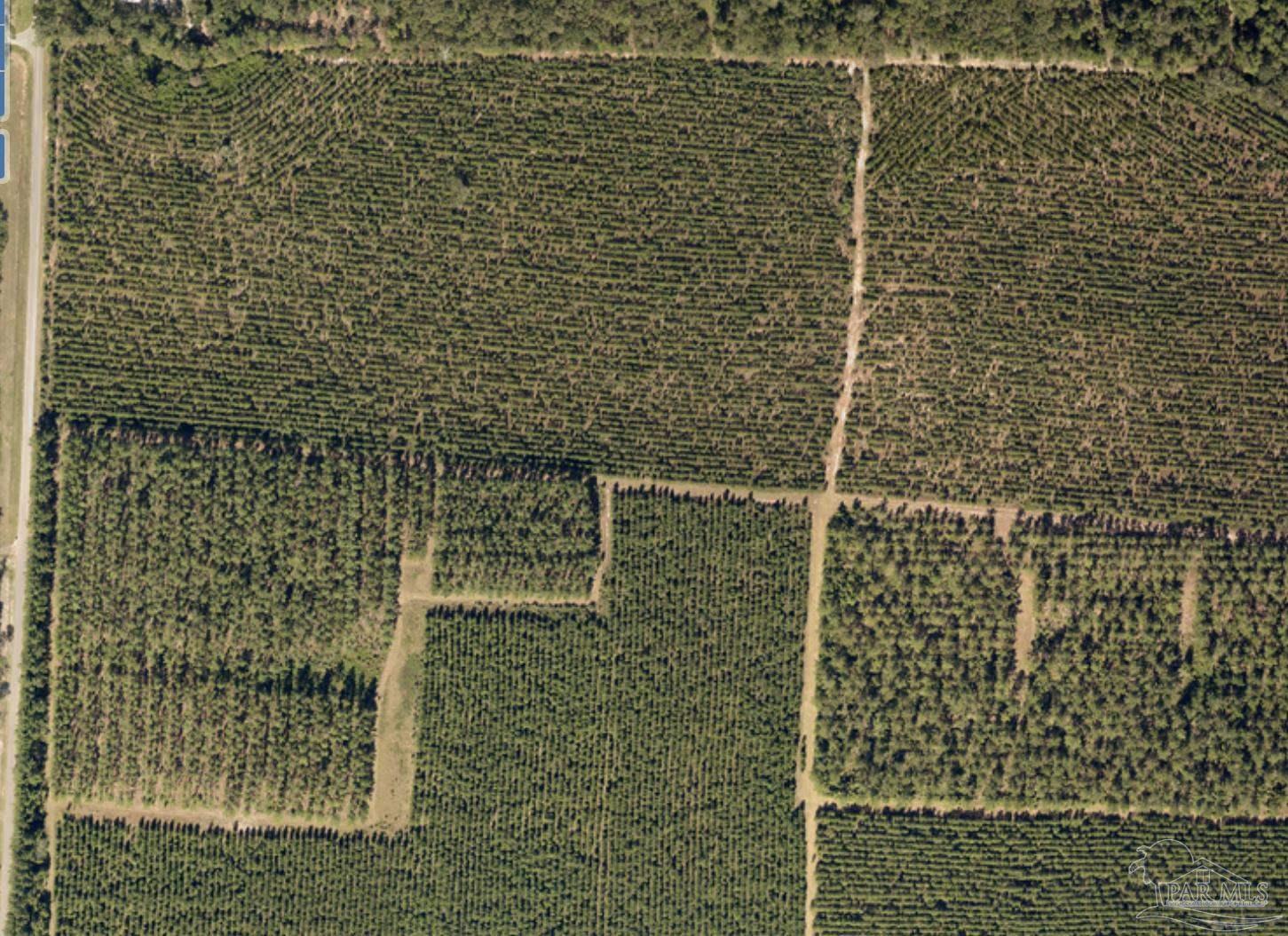 8 Bud Diamond Road Jay, FL 32565 - Photo 2 of 19