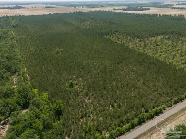 $215,000 | 8 Bud Diamond Road, Jay, FL 32565