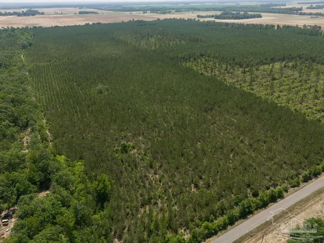 $215,000 | 8 Bud Diamond Road, Jay, FL 32565