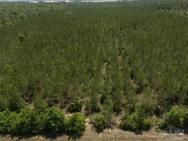 $215,000 | 8 Bud Diamond Road, Jay, FL 32565