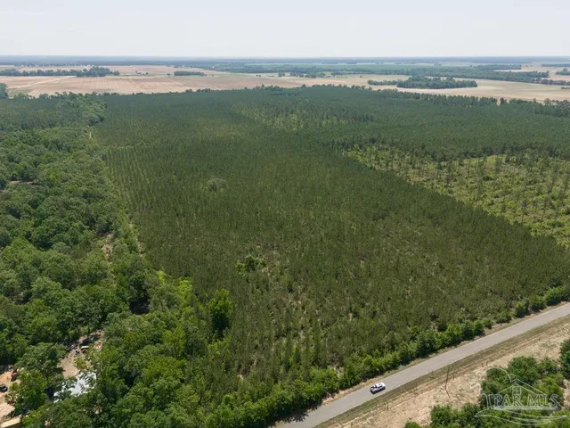 $215,000 | 8 Bud Diamond Road, Jay, FL 32565