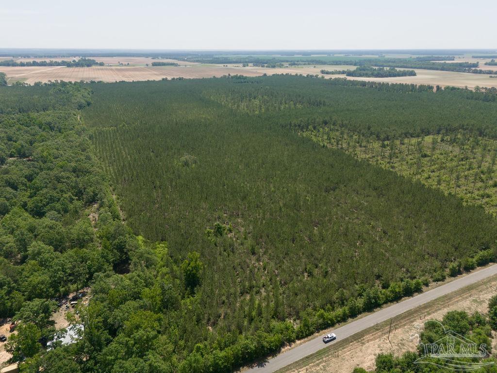 8 Bud Diamond Road Jay, FL 32565 - Photo 5 of 19