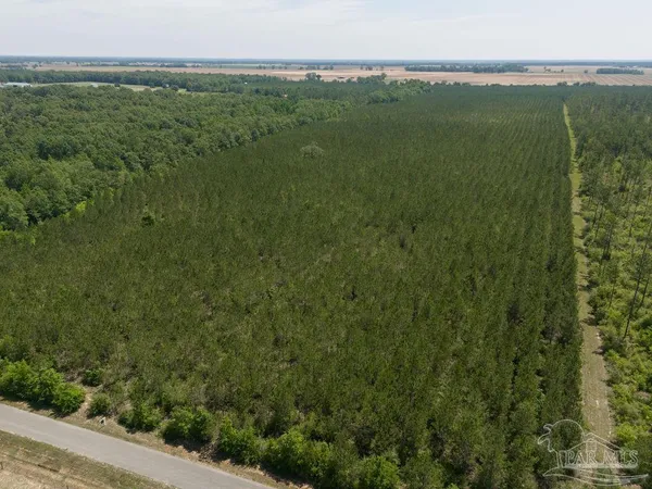 $215,000 | 8 Bud Diamond Road, Jay, FL 32565