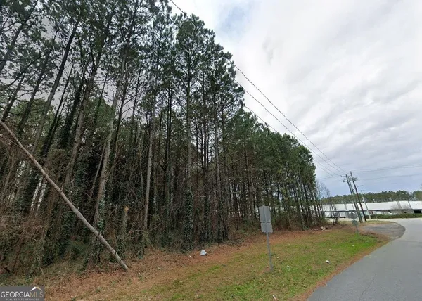 a view of a yard with a tree