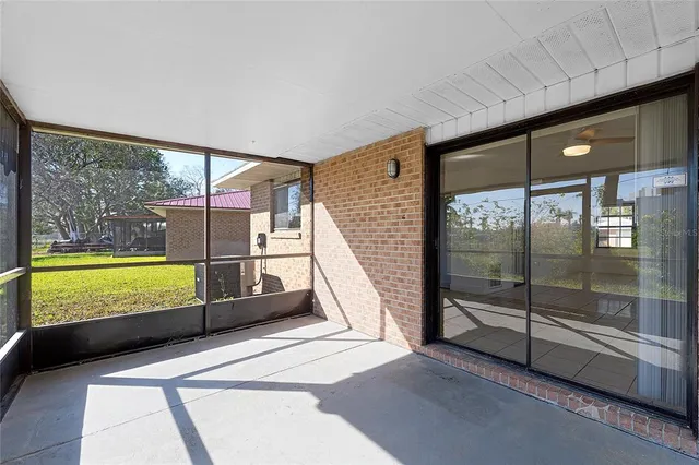 a backyard of a house with plants and large tree