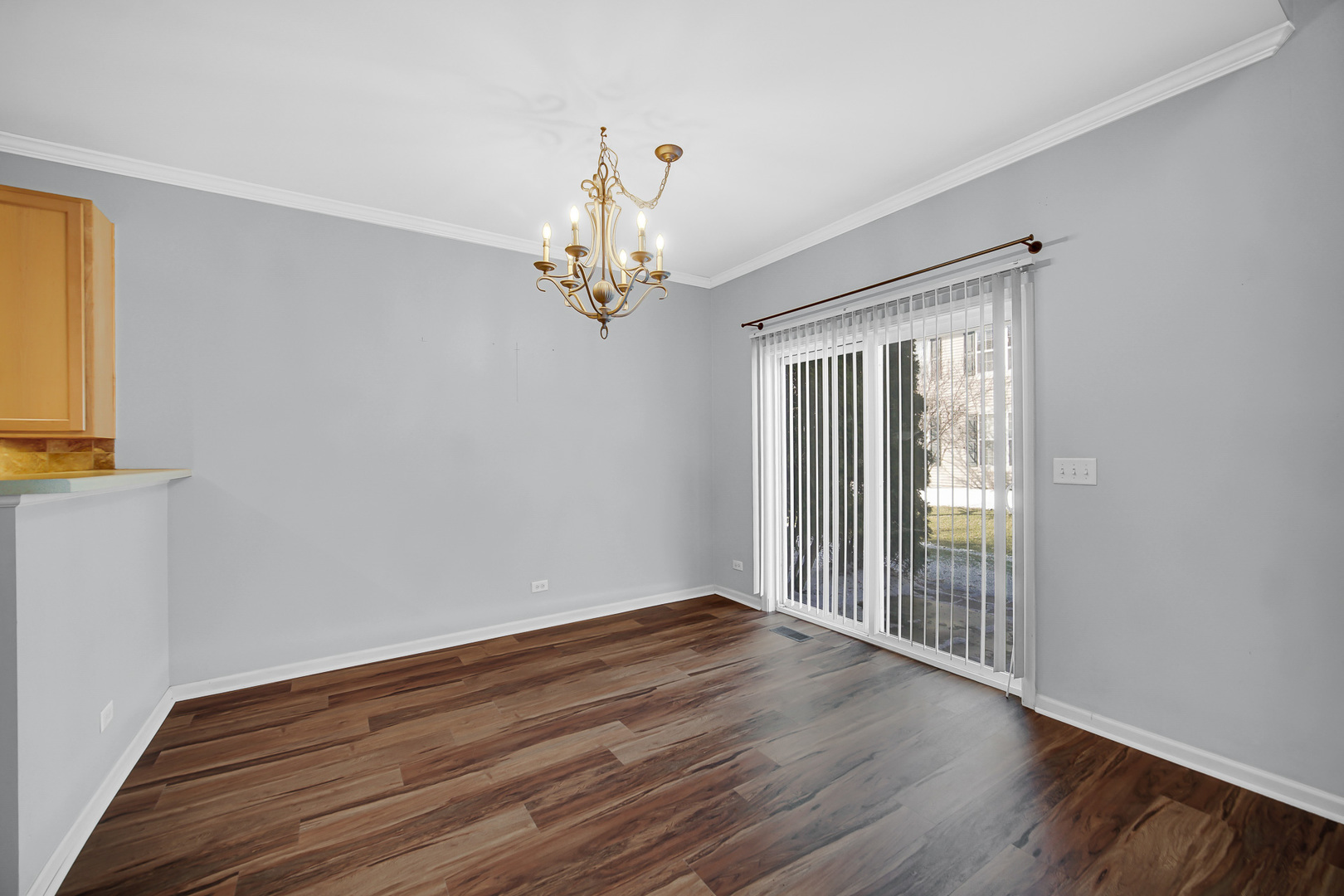 707 South Jade Lane Round Lake, IL 60073 - Photo 6 of 28