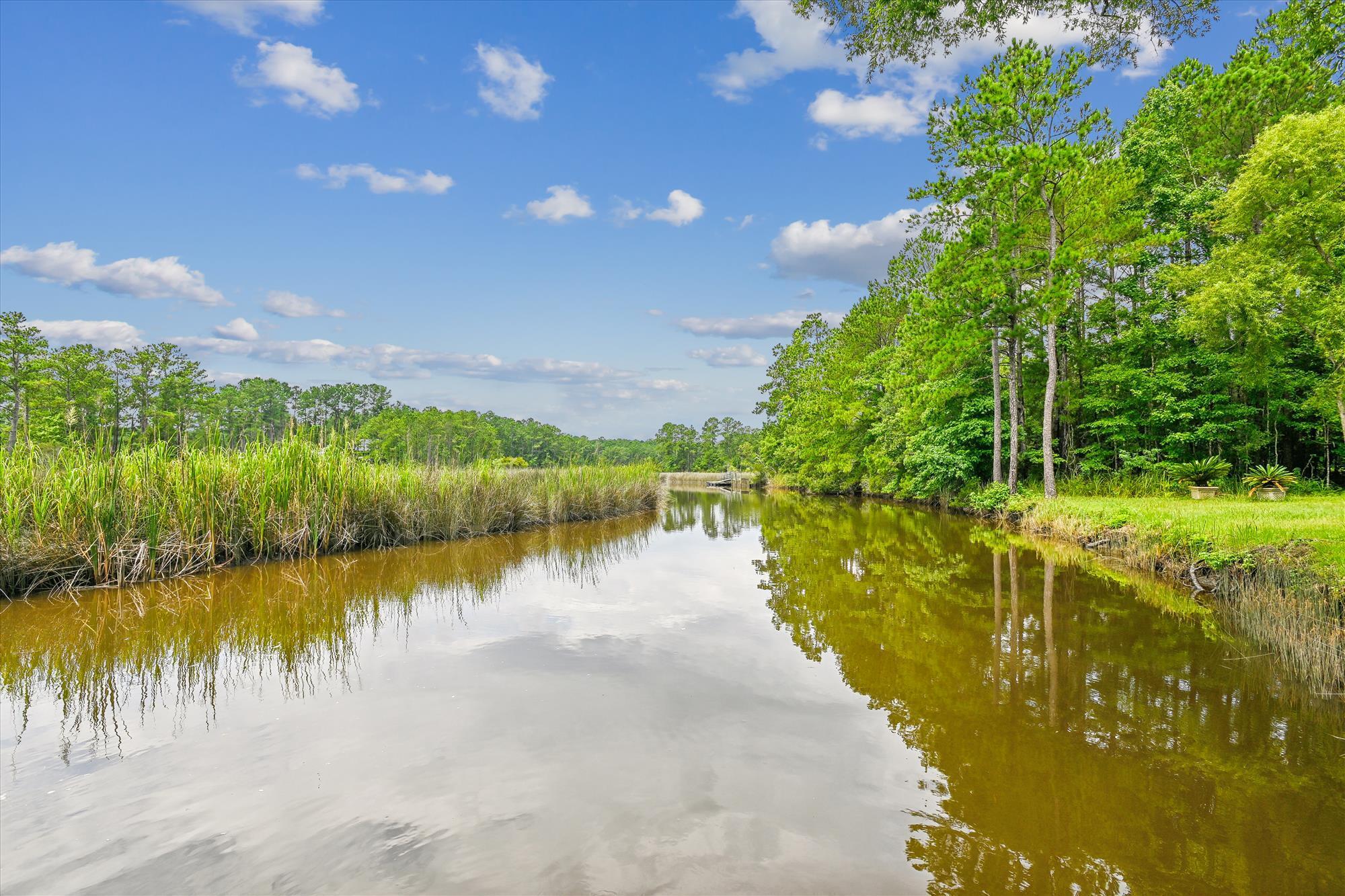 7323 Awendaw Landing Road Mount Pleasant, SC 29429 - Photo 8 of 38 exterior-view-_dsc8666