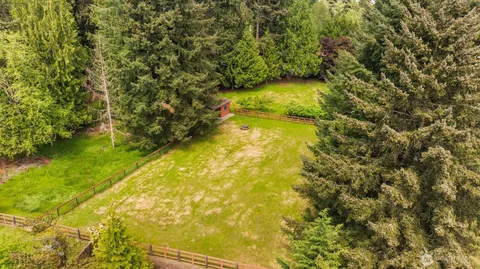 a view of yard from a window