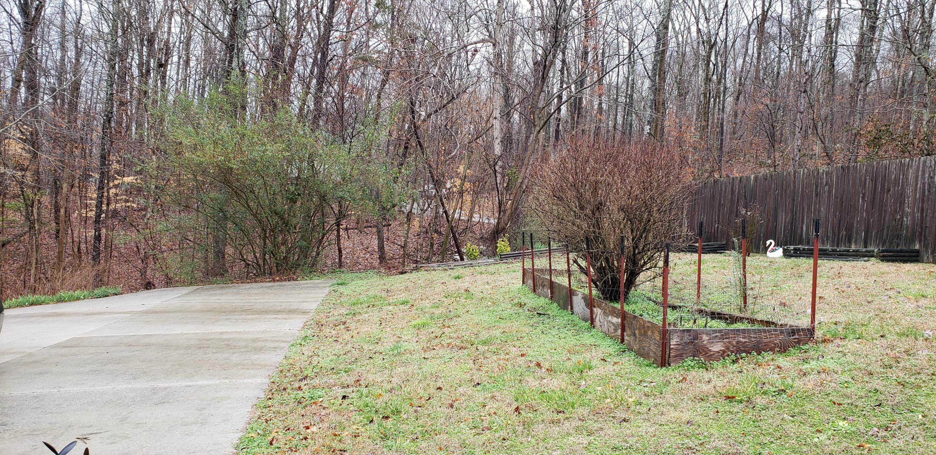 370 Stoker Ridge Road Jasper, TN 37347 - Photo 60 of 65 20200205_124009