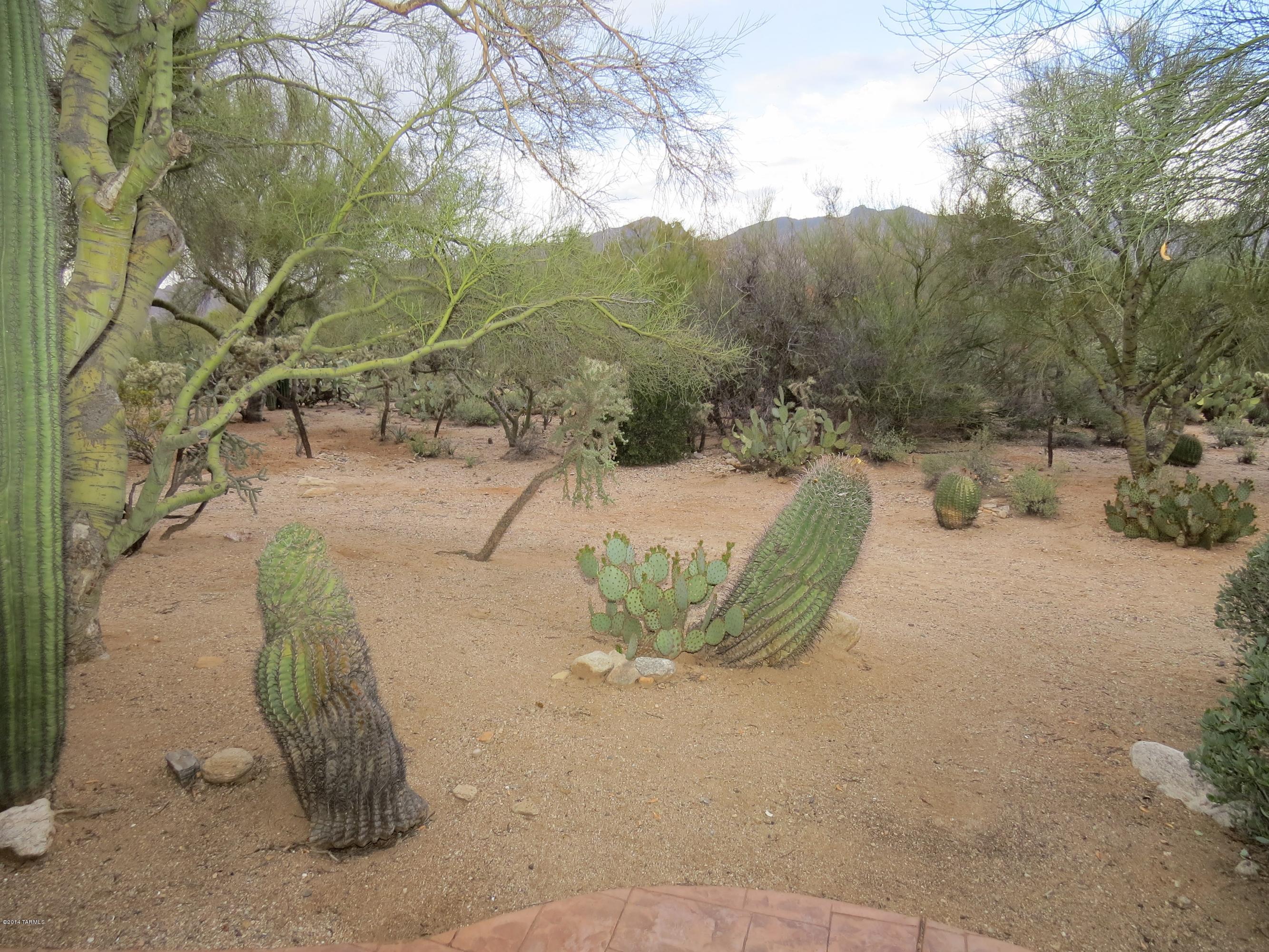 5030 North Valley View Road Tucson, AZ 85718 - Photo 35 of 39 Gallery Image 35