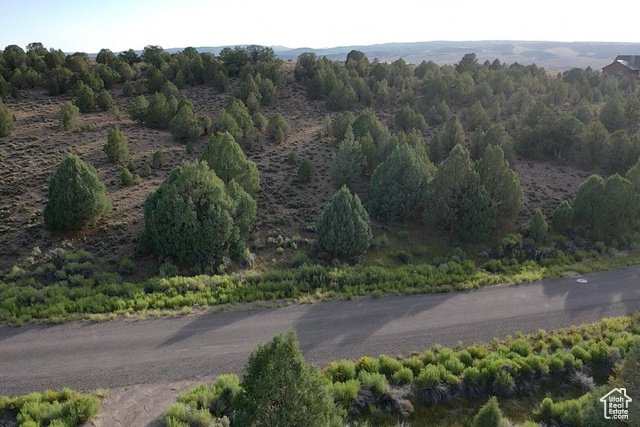 1730 East Eagle Circle Hatch, UT 84735 - Photo 10 of 14 View of road