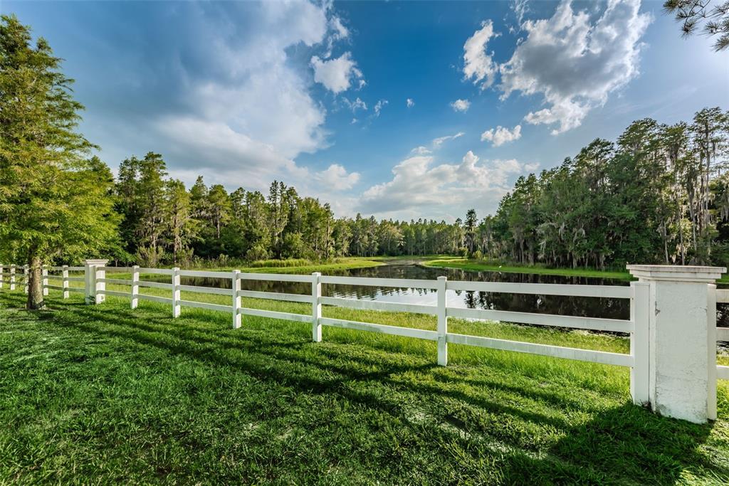 1345 Halapa Way Trinity, FL 34655 - Photo 92 of 93