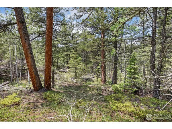 $348,000 | 398 Overland Drive, Ward, CO 80481
