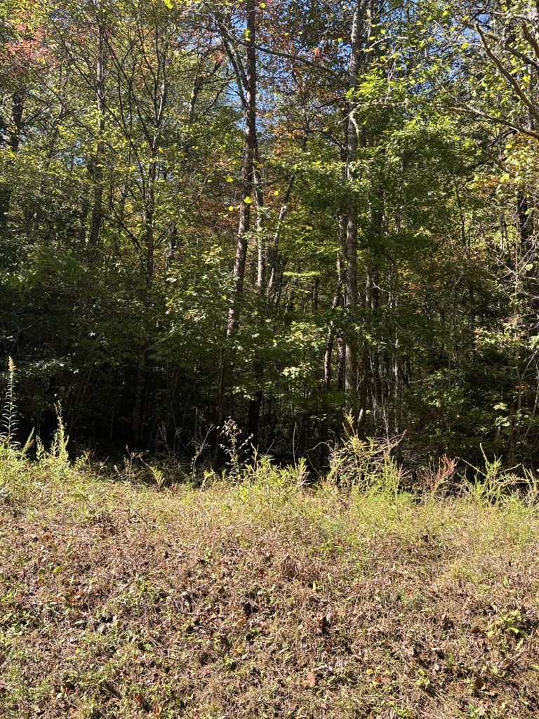 0 Panther Top Road Murphy, NC 28906 - Photo 2 of 2 Gallery Image 2
