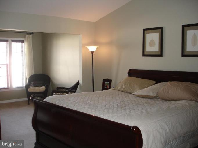 41904 Cinnabar Square Stone Ridge, VA 20105 - Photo 7 of 12 Master Bedroom