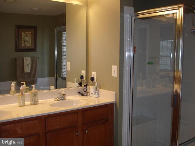 41904 Cinnabar Square Stone Ridge, VA 20105 - Photo 10 of 12 Master Bath