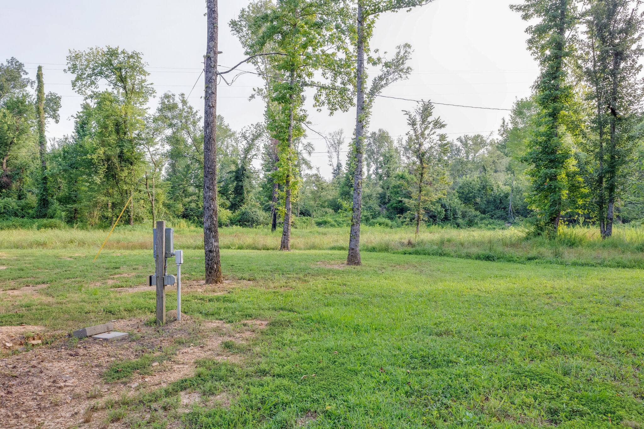 3425 Toms Creek Road Linden, TN 37096 - Photo 37 of 38 a view of a park with trees