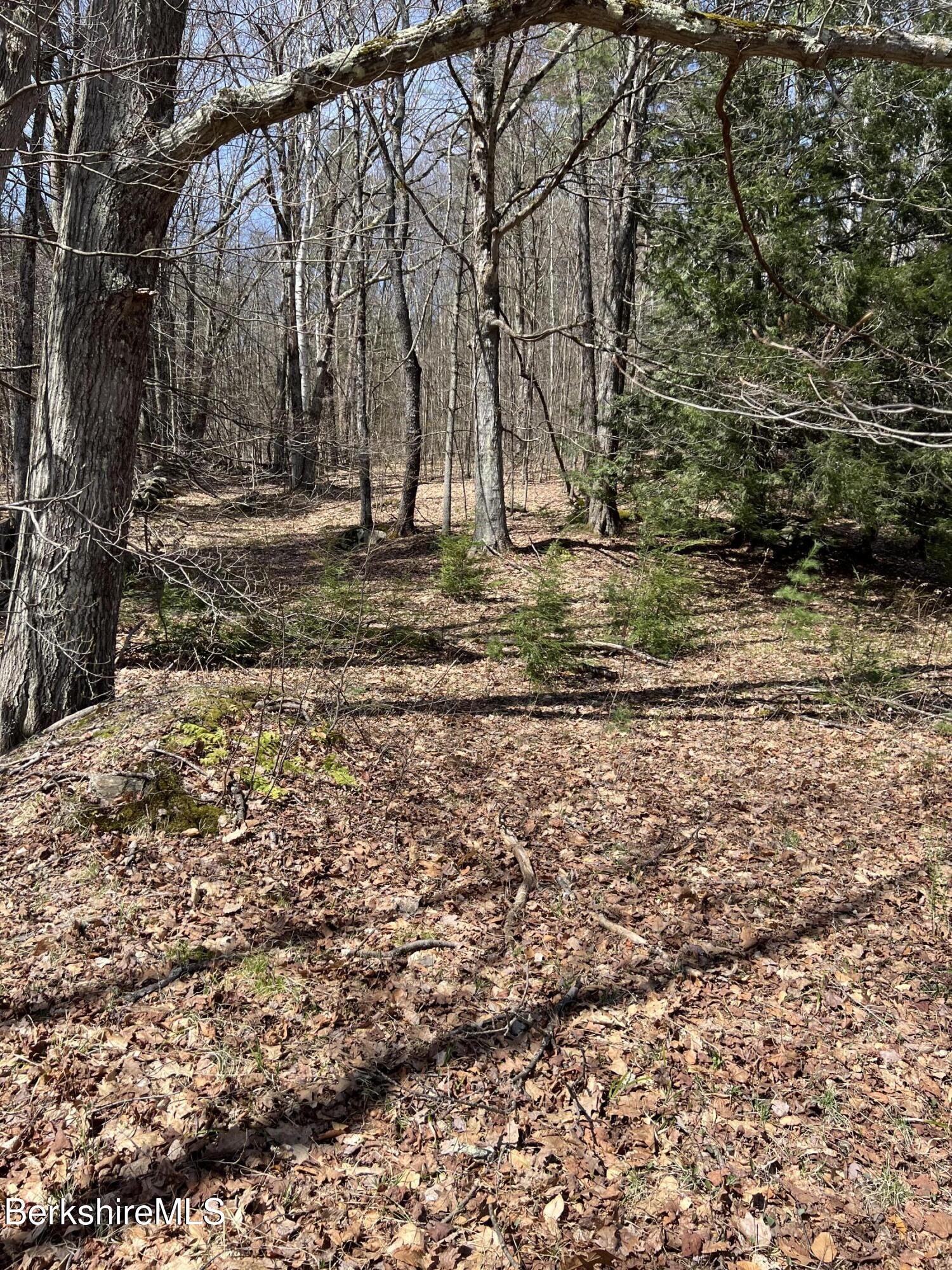 427 W Road Clarksburg, MA 01247 - Photo 5 of 6 a view of park space