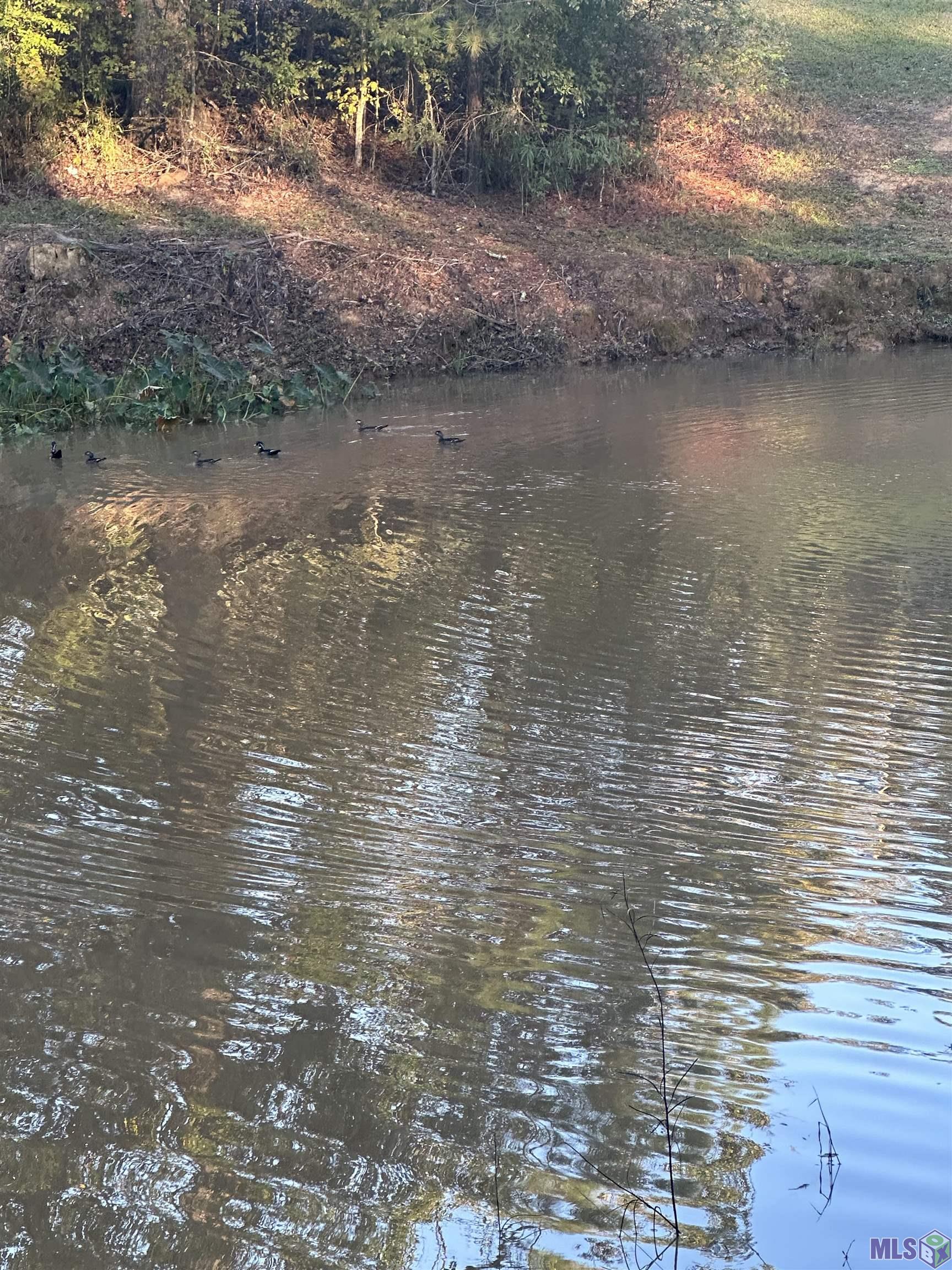 12724 Pittman Road St. Francisville, LA 70775 - Photo 30 of 59