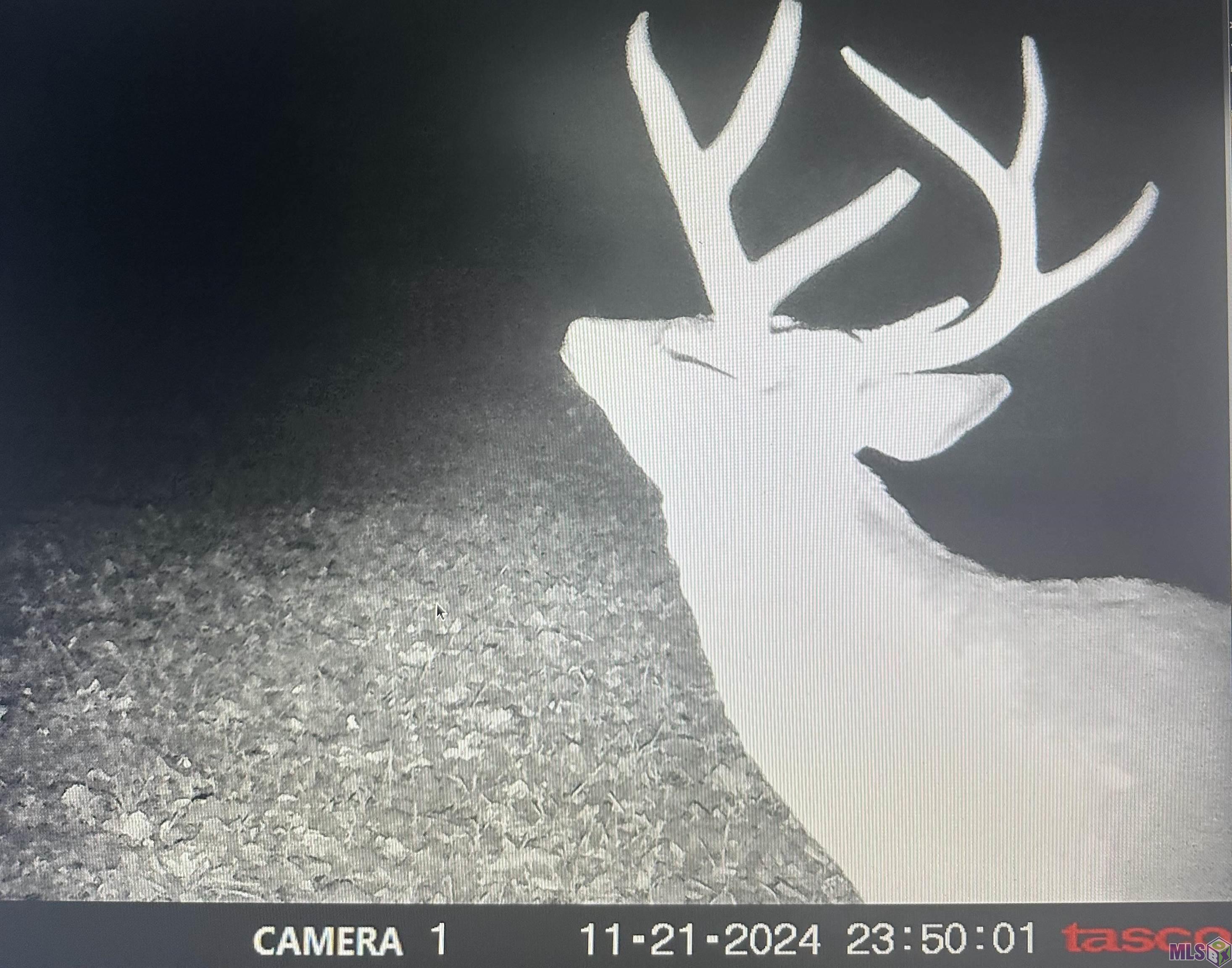 12724 Pittman Road St. Francisville, LA 70775 - Photo 31 of 59