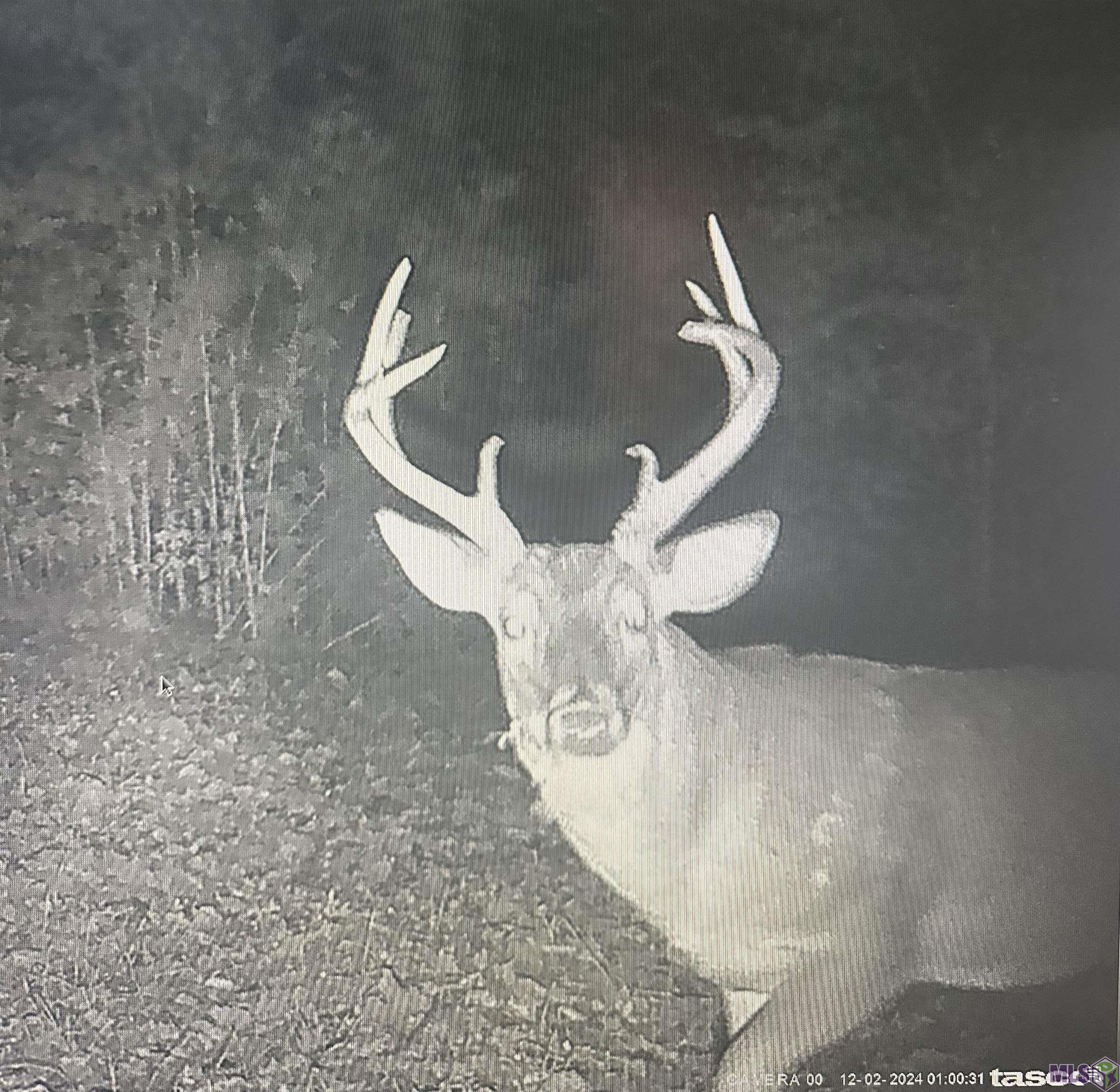 12724 Pittman Road St. Francisville, LA 70775 - Photo 32 of 59