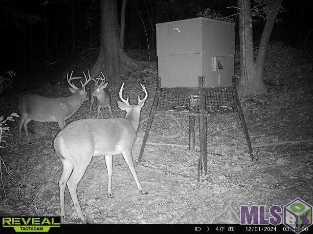 12724 Pittman Road St. Francisville, LA 70775 - Photo 34 of 59