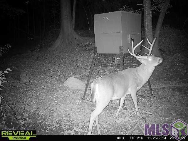 12724 Pittman Road St. Francisville, LA 70775 - Photo 36 of 59