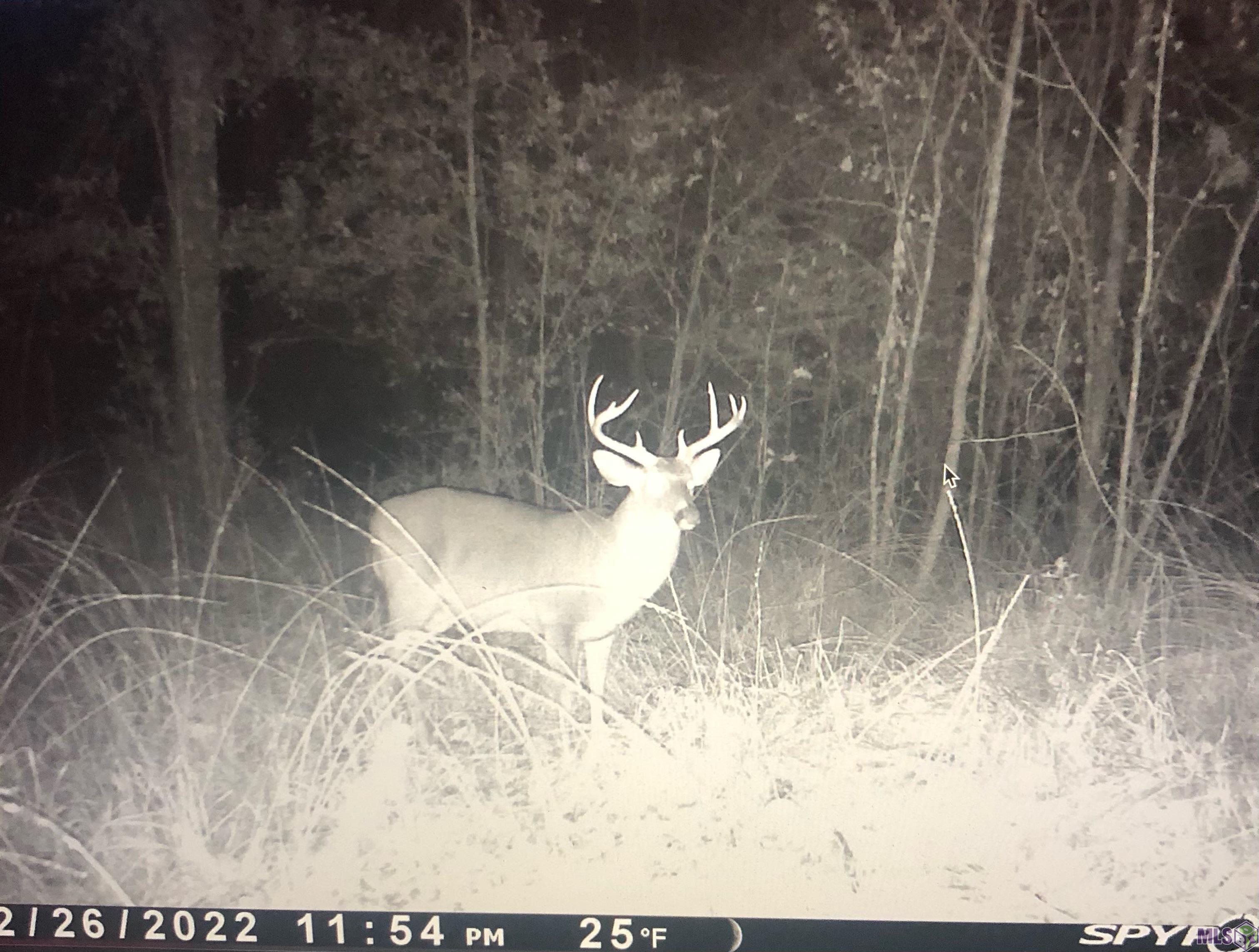 12724 Pittman Road St. Francisville, LA 70775 - Photo 39 of 59